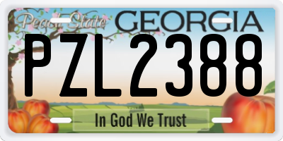 GA license plate PZL2388