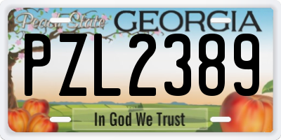 GA license plate PZL2389