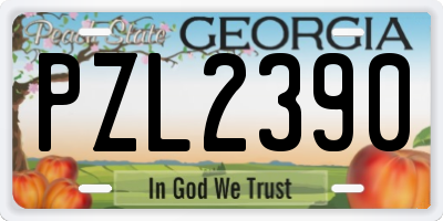GA license plate PZL2390