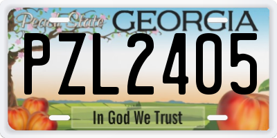GA license plate PZL2405