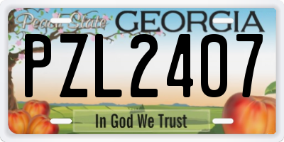 GA license plate PZL2407