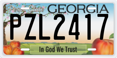 GA license plate PZL2417