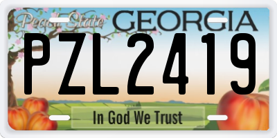 GA license plate PZL2419