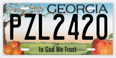 GA license plate PZL2420