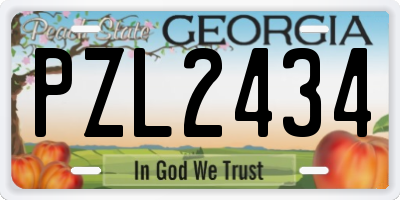 GA license plate PZL2434