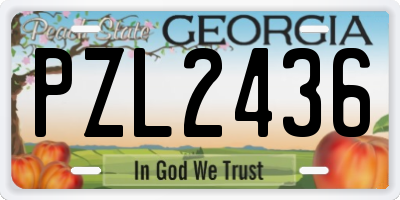GA license plate PZL2436