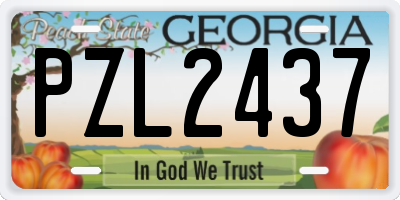 GA license plate PZL2437