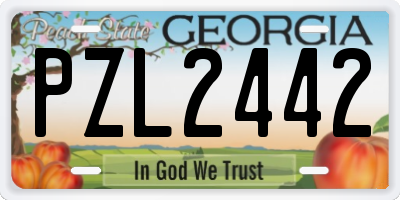 GA license plate PZL2442