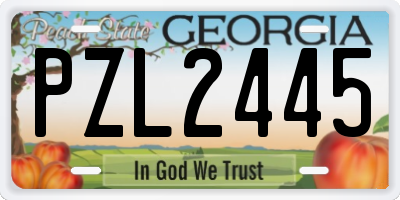 GA license plate PZL2445