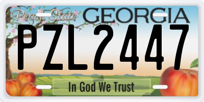 GA license plate PZL2447