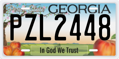 GA license plate PZL2448