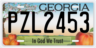 GA license plate PZL2453