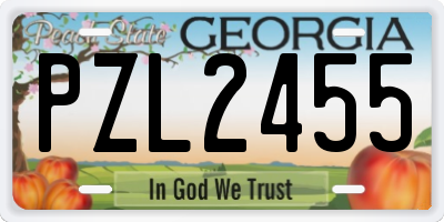 GA license plate PZL2455