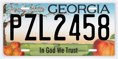 GA license plate PZL2458
