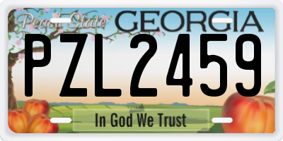 GA license plate PZL2459