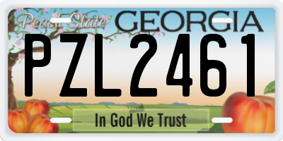 GA license plate PZL2461
