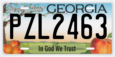 GA license plate PZL2463