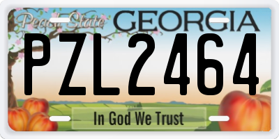 GA license plate PZL2464