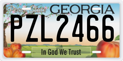 GA license plate PZL2466