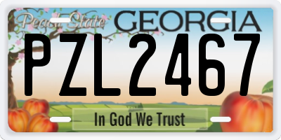 GA license plate PZL2467