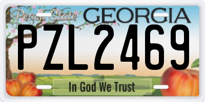 GA license plate PZL2469