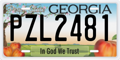 GA license plate PZL2481