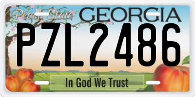 GA license plate PZL2486
