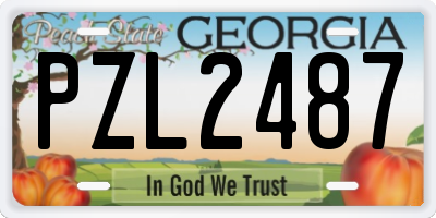 GA license plate PZL2487