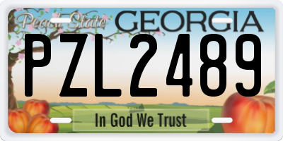 GA license plate PZL2489