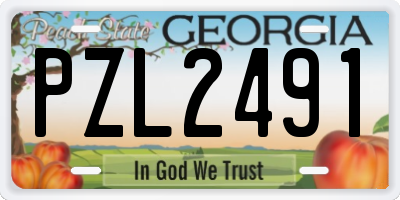 GA license plate PZL2491
