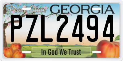 GA license plate PZL2494
