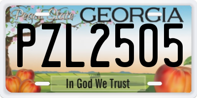 GA license plate PZL2505