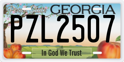 GA license plate PZL2507