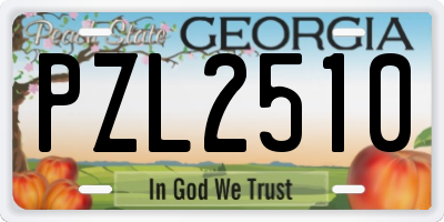 GA license plate PZL2510