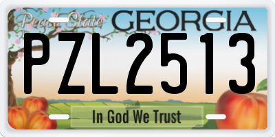 GA license plate PZL2513