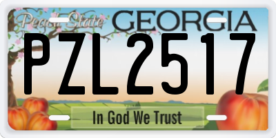 GA license plate PZL2517