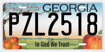 GA license plate PZL2518