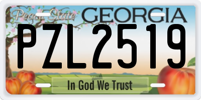 GA license plate PZL2519