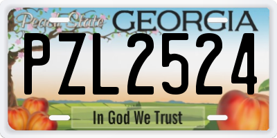 GA license plate PZL2524