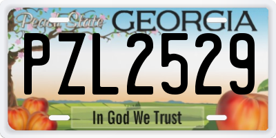 GA license plate PZL2529