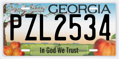 GA license plate PZL2534