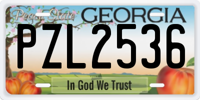 GA license plate PZL2536