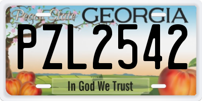 GA license plate PZL2542