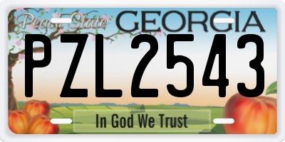 GA license plate PZL2543