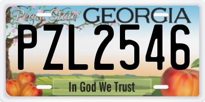 GA license plate PZL2546