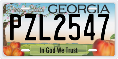 GA license plate PZL2547