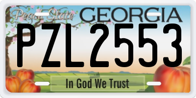GA license plate PZL2553