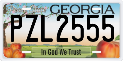 GA license plate PZL2555