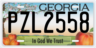 GA license plate PZL2558