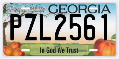 GA license plate PZL2561